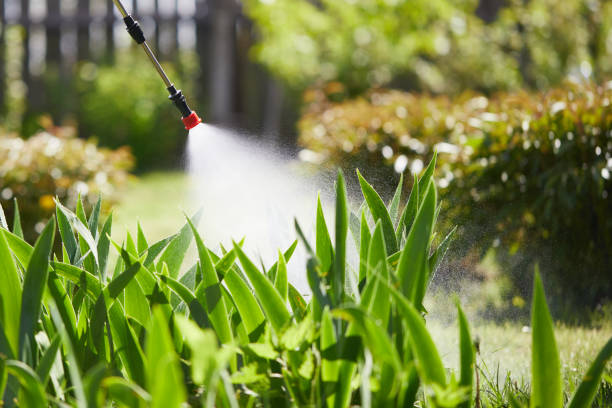 24/7 Emergency Cockroach Control experts in Canton, MO