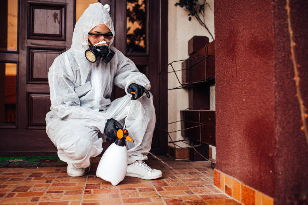Reliable Cockroach Control contractor in Canton, MO by Nex Pest Control