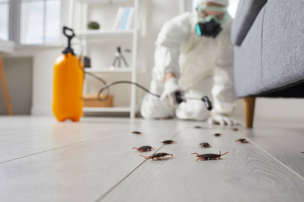Affordable Cockroach Control solutions in Canton, MO