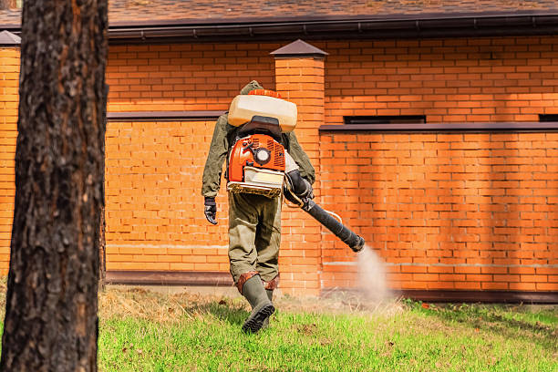 Top rated local Cockroach Control specialists in Canton, MO